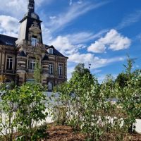 Agence CET Ird, Rouen